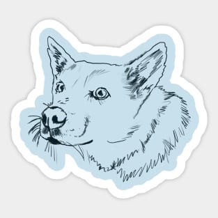 Jindo jindo Sticker